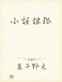 小说银狐