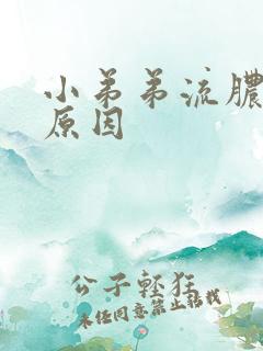 小弟弟流脓什么原因