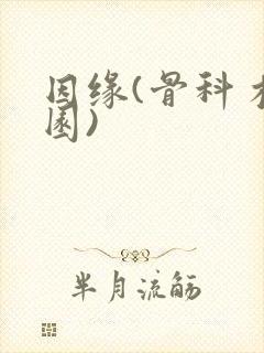 因缘(骨科 校园)