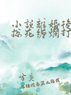 小说离婚后,霸总死缠烂打