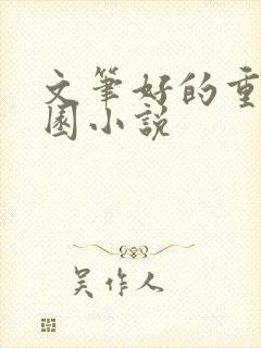 文笔好的重生校园小说