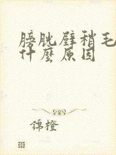 膀胱壁稍毛糙是什么原因