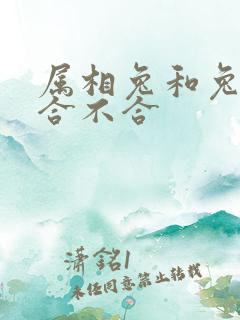 属相兔和兔属相合不合