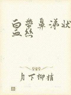 白带鼻涕状 带血丝