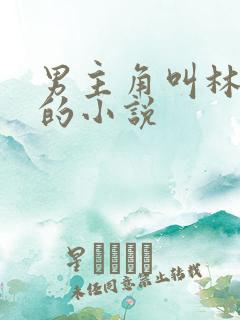 男主角叫林小北的小说