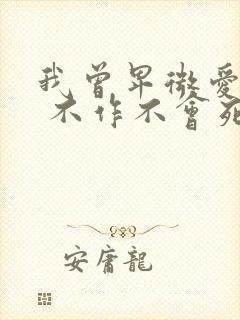 我曾卑微爱过他 不作不会死