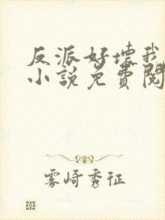 反派好坏我好爱小说免费阅读