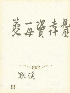 第一次去见女方父母买什么