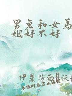 男兔和女马配婚姻好不好