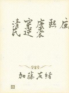 清穿康熙庶妃张氏逆袭