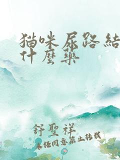 猫咪尿路结晶吃什么药