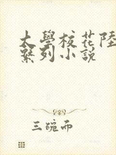 大学校花陆冰嫣系列小说