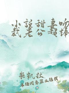 小说甜妻吻安总裁老公超棒的