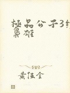 极品公子3续世枭雄