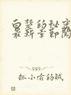 白楚的秘密小说最新章节阅读全文