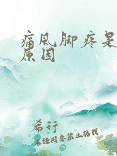 痛风脚疼是什么原因