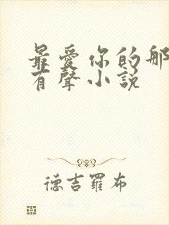 最爱你的那十年有声小说