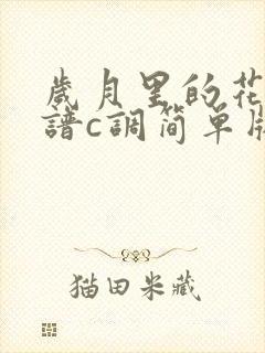 岁月里的花吉他谱c调简单版