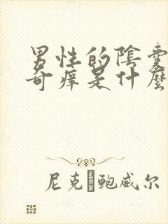 男性的阴囊潮湿奇痒是什么原因