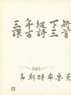 三年级下册第9课古诗三首生字组词