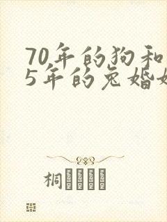 70年的狗和75年的兔婚姻相配吗