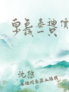 白色泰迪价格多少钱一只