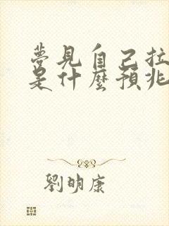 梦见自己拉大便是什么预兆解梦