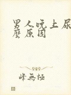 男人晚上尿频什么原因