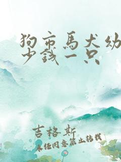 狗市马犬幼犬多少钱一只