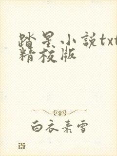 踏星小说txt精校版