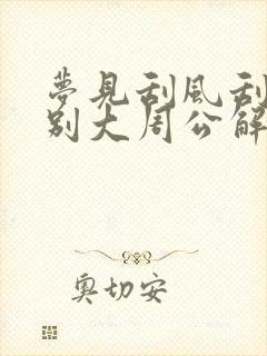 梦见刮风刮得特别大周公解梦