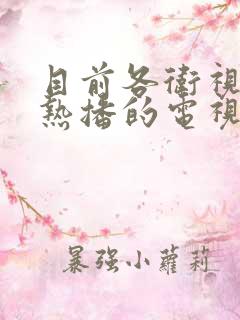 目前各卫视正在热播的电视剧