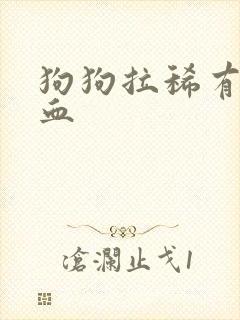 狗狗拉稀有些带血