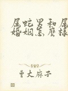 属蛇男和属羊女婚姻怎么样