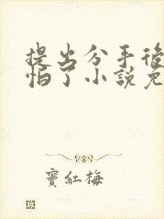 提出分手后她害怕了小说免费阅读