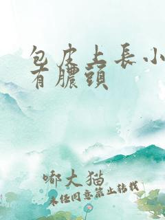 包皮上长小疙瘩有脓头