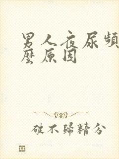 男人夜尿频多什么原因