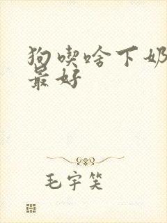 狗吃啥下奶最快最好