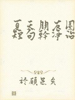 夏天朋友圈文案短句干净治愈阳光