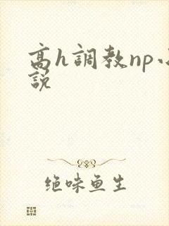 高h调教np小说