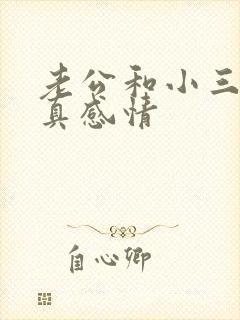 老公和小三动了真感情