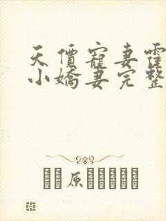 天价宠妻霍总的小娇妻完整版