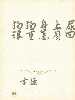 狗狗身上尿骚味很重怎么回事