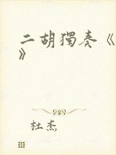 二胡独奏《九儿》