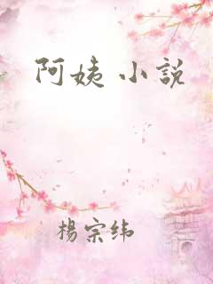阿姨 小说