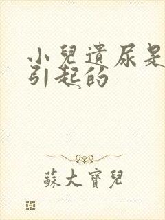 小儿遗尿是原因引起的