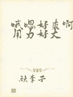 哦嗯好爽啊嗯啊用力好大