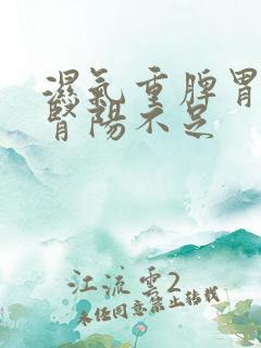 湿气重脾胃失调肾阳不足