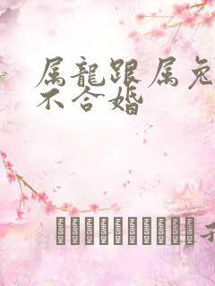 属龙跟属兔的合不合婚