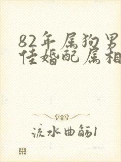 82年属狗男最佳婚配属相